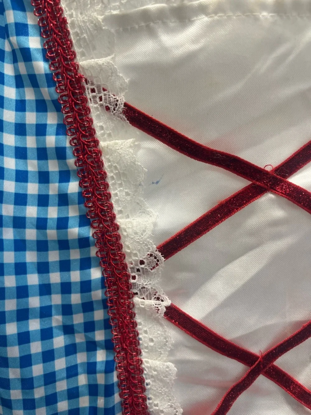 Rubie's Blue Gingham Princess Wizard of Oz Dress with Red Trim